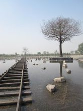 纪念水池